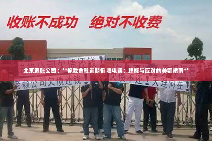 北京追账公司：**你我金融逾期催收电话：理解与应对的关键指南**