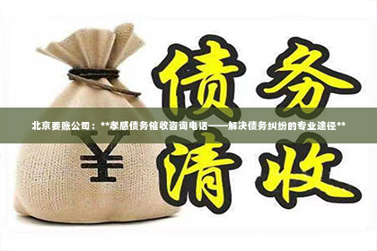 北京要账公司：**孝感债务催收咨询电话——解决债务纠纷的专业途径**