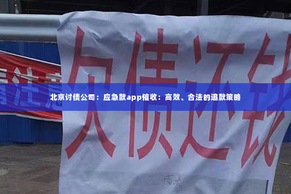北京讨债公司：应急款app催收：高效、合法的追款策略