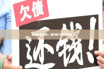 北京要账公司：国内各大催收巨头