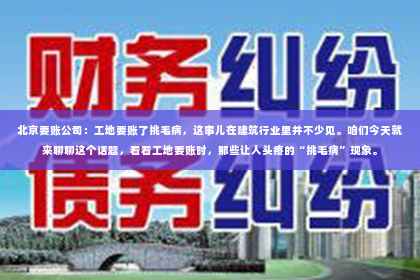北京要账公司：工地要账了挑毛病，这事儿在建筑行业里并不少见。咱们今天就来聊聊这个话题，看看工地要账时，那些让人头疼的“挑毛病”现象。