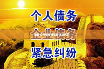 揭秘如何曝光催收狗行骗黑幕