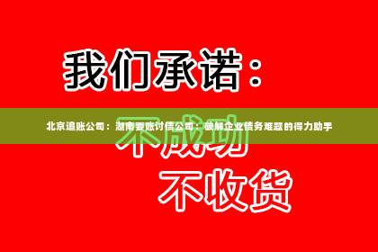 北京追账公司：湖南要账讨债公司：破解企业债务难题的得力助手