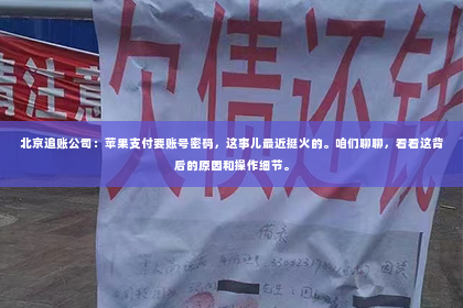 北京追账公司：苹果支付要账号密码，这事儿最近挺火的。咱们聊聊，看看这背后的原因和操作细节。