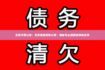 北京讨债公司：北京要账侦探公司：揭秘专业追债的神秘世界