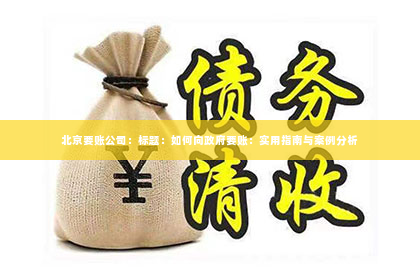 北京要账公司：标题：如何向政府要账：实用指南与案例分析