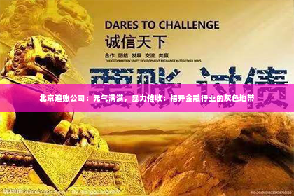 北京追账公司：元气满满，暴力催收：揭开金融行业的灰色地带