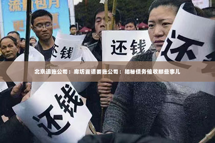 北京追账公司：廊坊靠谱要账公司：揭秘债务催收那些事儿