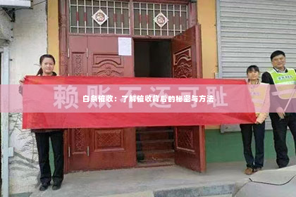 白条催收：了解催收背后的秘密与方法