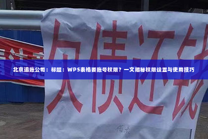 北京追账公司：标题：WPS表格要账号权限？一文揭秘权限设置与使用技巧