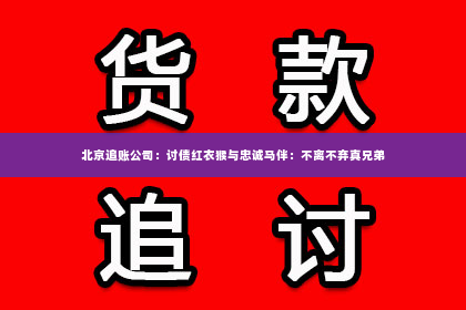 北京追账公司：讨债红衣猴与忠诚马伴：不离不弃真兄弟