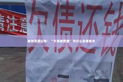 梨树清款公司：“大妈要债团”为什么会被需求
