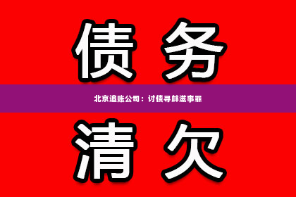 北京追账公司：讨债寻衅滋事罪