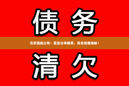 北京追账公司：芸豆分未催收，背后原因揭秘！