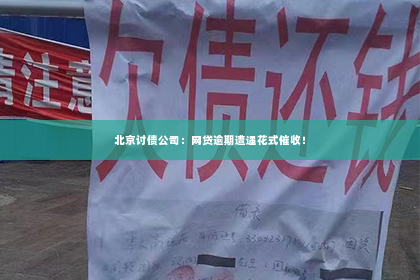 北京讨债公司：网贷逾期遭遇花式催收！