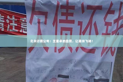 北京讨债公司：王董卓的血债，让脑洞飞扬！