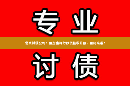 北京讨债公司：猛虎出柙七秒贷催收升级，猛犸来袭！