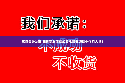 茂县会计公司:深圳专业清债公司电话在追债中作用大吗？