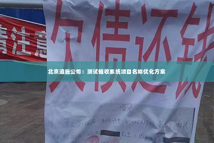 北京追账公司：测试催收系统项目名称优化方案