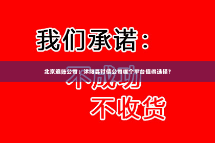 北京追账公司：沭阳县讨债公司哪个平台值得选择？
