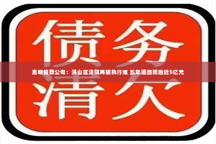 嵩明催数公司：洪山区法院再破执行难 五年追回赖账近5亿元