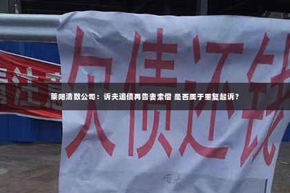 莱阳清数公司：诉夫追债再告妻索偿 是否属于重复起诉？