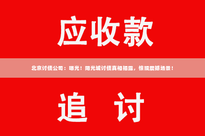 北京讨债公司：曝光！阳光城讨债真相揭露，惊现震撼场景！
