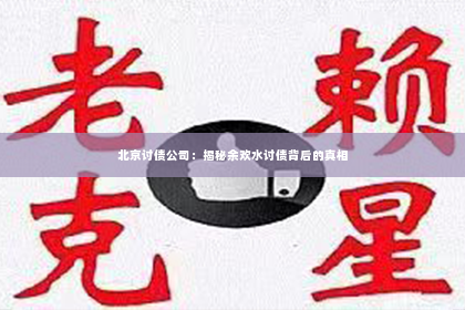 北京讨债公司：揭秘余欢水讨债背后的真相