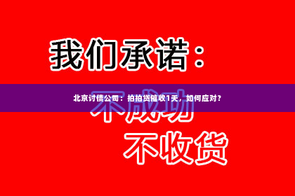 北京讨债公司：拍拍贷催收1天，如何应对？