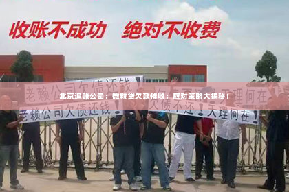 北京追账公司：微粒贷欠款催收：应对策略大揭秘！