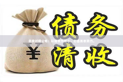 北京讨债公司：以催收为核心，打击黑恶势力。