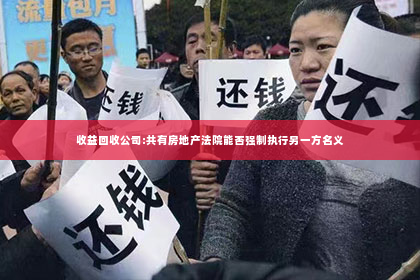 收益回收公司:共有房地产法院能否强制执行另一方名义