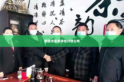 鹤壁市是否存在讨债公司