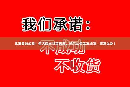 北京要账公司：各大债主纷至沓来，拖欠公债无法还清，该怎么办？