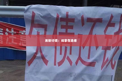 黑帮讨债：缉拿在逃者