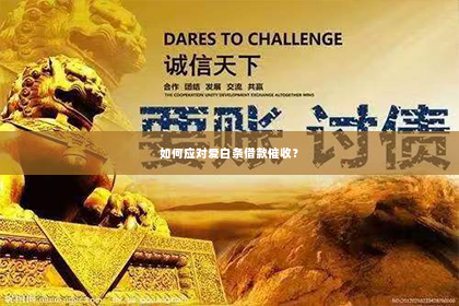 如何应对爱白条借款催收？