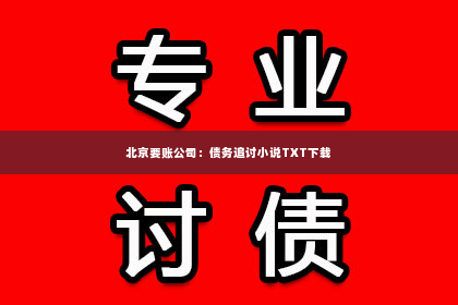北京要账公司：债务追讨小说TXT下载