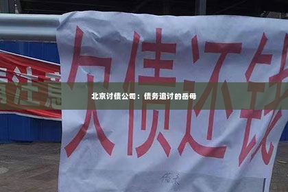 北京讨债公司：债务追讨的岳母