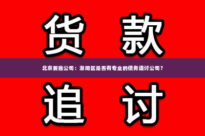 北京要账公司：潮阳区是否有专业的债务追讨公司？