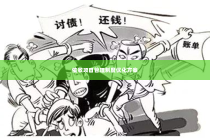 催收项目管理制度优化方案