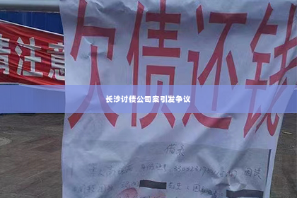 长沙讨债公司案引发争议