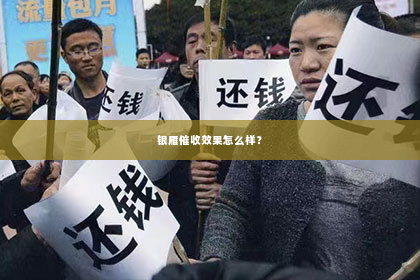 银雁催收效果怎么样？