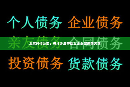 北京讨债公司：天才少年帮助女企业家追回欠款