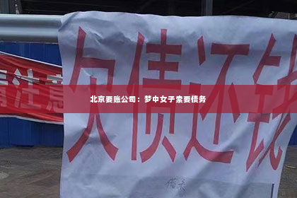 北京要账公司：梦中女子索要债务