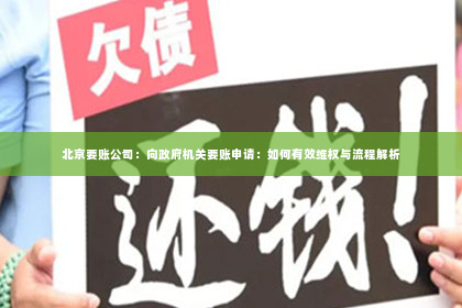 北京要账公司：向政府机关要账申请：如何有效维权与流程解析