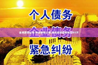 龙岗清数公司:深圳要帐公司:南京成功回收投资80万