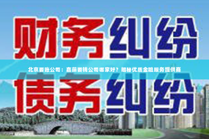 北京要账公司：嘉荫要钱公司哪家好？揭秘优质金融服务提供商
