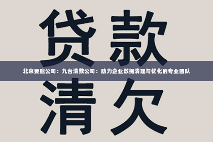 北京要账公司：九台清数公司：助力企业数据清理与优化的专业团队