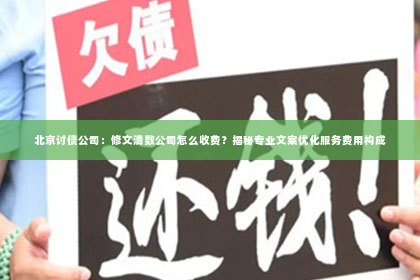 北京讨债公司：修文清数公司怎么收费？揭秘专业文案优化服务费用构成