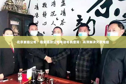 北京要账公司：临安追款公司电话号码查询：高效解决欠款难题